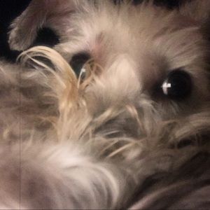 Meet your Posher, Kendra